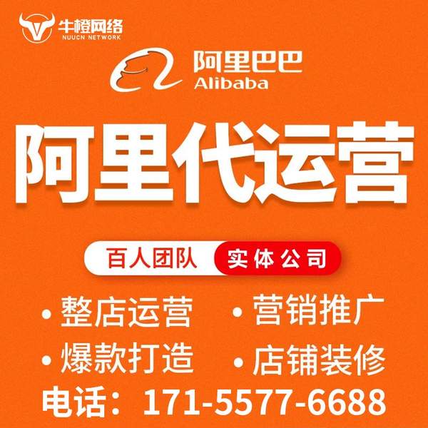 百色电商代运营