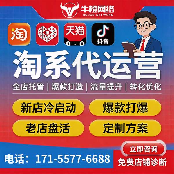 百色电商代运营