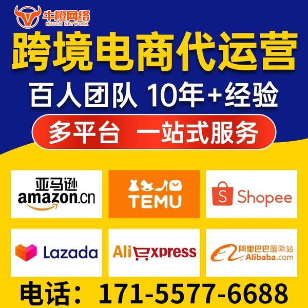 百色电商代运营
