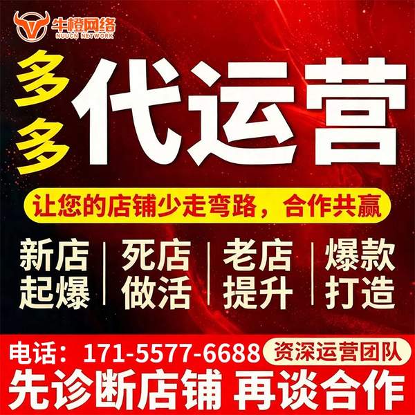 百色电商代运营