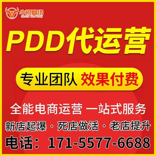 百色电商代运营