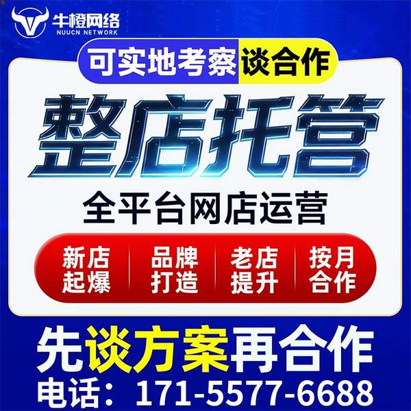 百色电商代运营