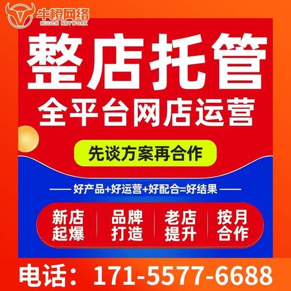 百色电商代运营