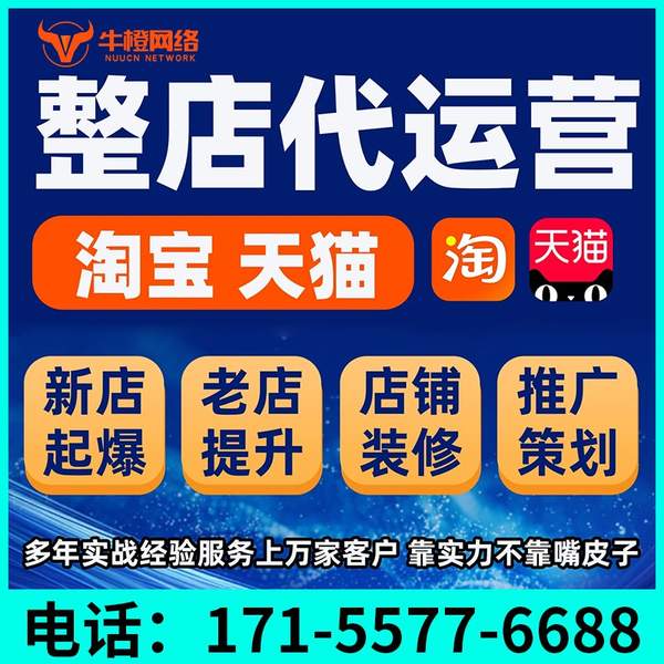 百色电商代运营