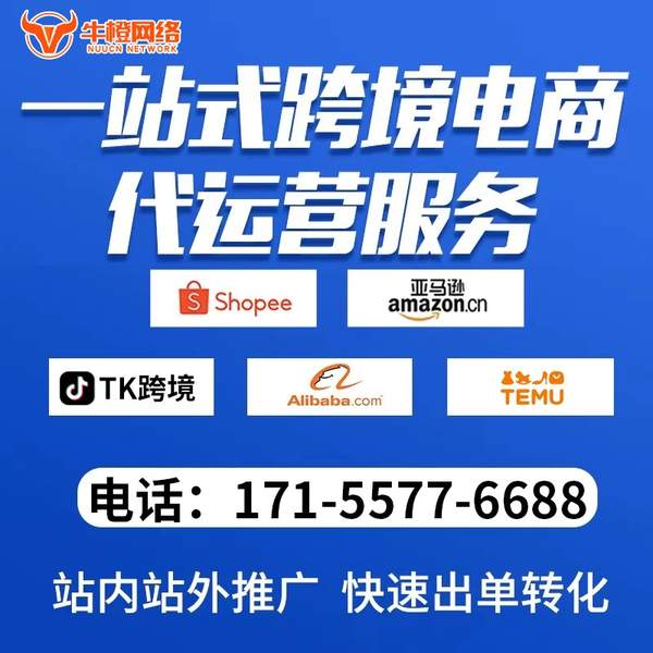 百色电商代运营