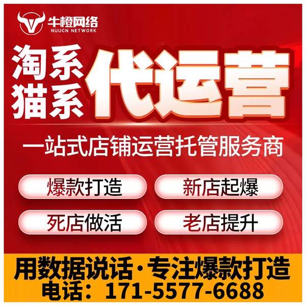 百色电商代运营